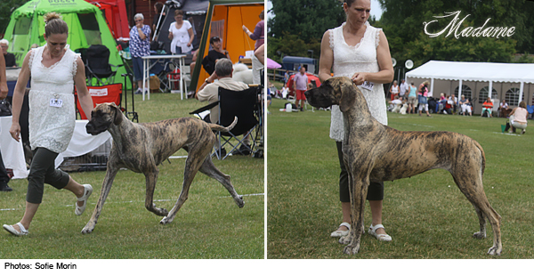 Madame at her very first official dog show