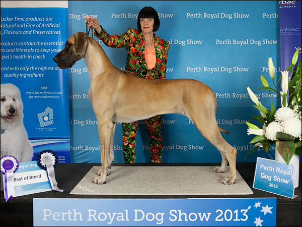 Grand Royal's Funky Claire Lacombe - AUSTRALIEN CHAMPION
