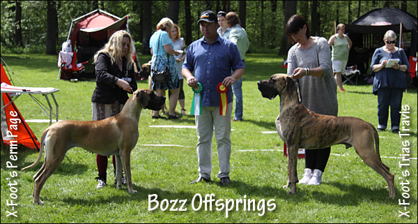Bozz Offsprings